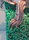 20261028_170429.webp