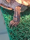 20261028_170420.webp