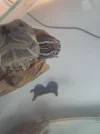 20261028_154712.webp