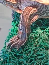 20261028_170435.webp