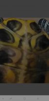 Screenshot_20210407-165312_Gallery.jpg