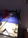 20210612_160247.jpg