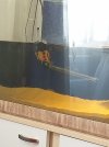 20210804_121409.jpg