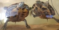 IMG_20201229_111053.jpg