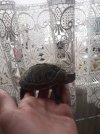 * Image 2021-10-19 at 15.51.30.jpeg