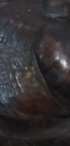 Screenshot_20211124-103746_Gallery.jpg