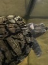 thumbnail_IMG_2998.jpg
