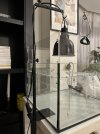 IMG_4101.jpeg