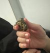 IMG_2658.jpeg