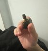 IMG_2659.jpeg