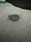 IMG_2650.jpeg