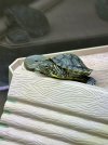 IMG_4088.jpeg