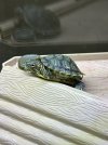IMG_4087.jpeg