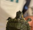 IMG_5868.jpeg