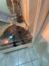IMG_3805.jpeg