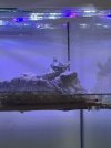IMG_4325.jpeg
