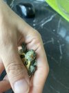 IMG_4985.jpeg