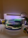 IMG_0014.jpeg