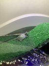 IMG_0024.jpeg