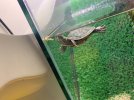 IMG_0029.jpeg