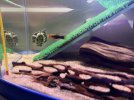 IMG_0025.jpeg