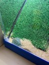 IMG_0031.jpeg