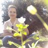 Dilek