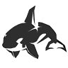 silver_orca