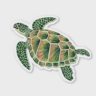 tortoisyy