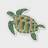 tortoisyy
